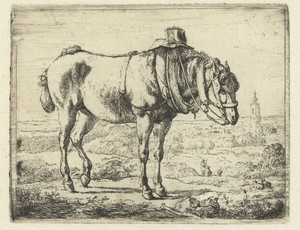 Paard opgetuigd als werkpaard