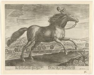 Paard uit Arabië