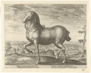 Paard uit Engeland