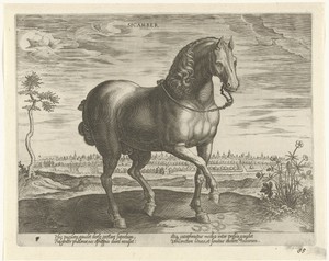 Paard uit Gelre