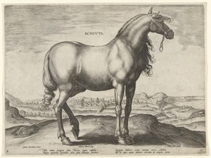 Paard uit Griekenland (Achivus)