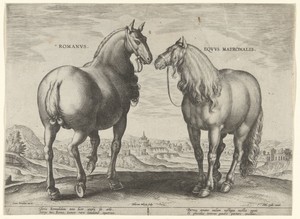 Paard uit Rome en een draagmerrie