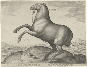 Paard uit Scythië