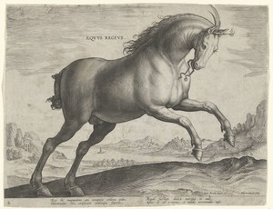 Paard van het ras Equus Regius (de Koninklijke)