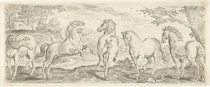 Paarden