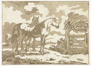 Paarden