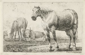 Paarden en koeien