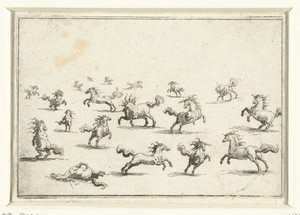 Paarden in diverse houdingen