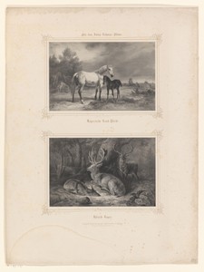 Paarden in een weide en herten in een bos