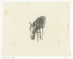 Paardenhoofd met hangende leidsels, van voren gezien