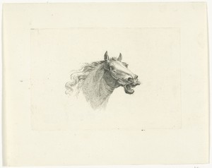 Paardenhoofd met open bek, naar rechts