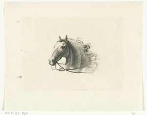 Paardenhoofd, naar links