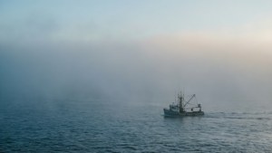 Pacific Morning Mist