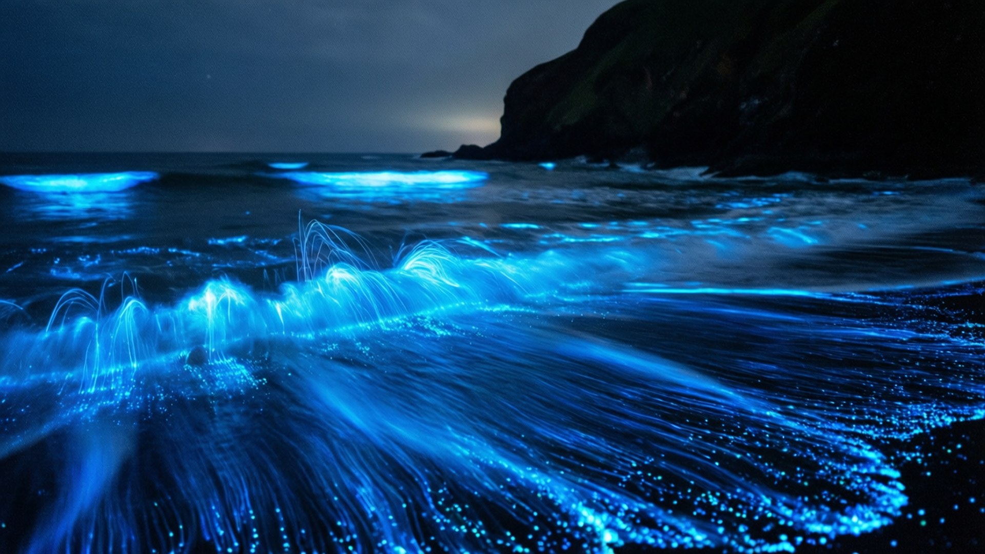 Pacific Neon Glow by Wallpapers.art Studio