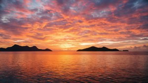 Pacific Sunrise