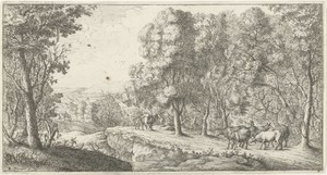 Pad langs het bos