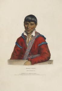Paddy-Carr - Creek Interpreter