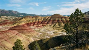 Painted Hills Palette