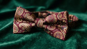 Paisley Bowtie on Velvet