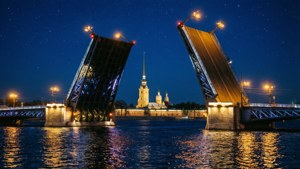 Palace Bridge Night Lights