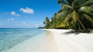 Palau White Beach