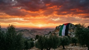 Palestinian Hills Sunset