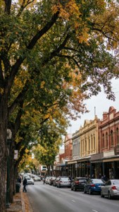 Pall Mall Autumn