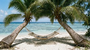 Palm Arch Beach Tonga