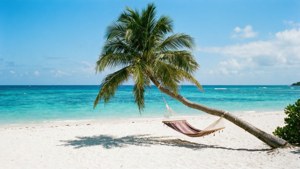 Palm Beach Paradise