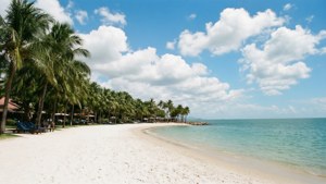 Palm Cove Paradise