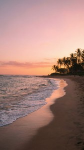 Palm Sunset Serenity