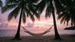 Palm Tree Hammock Sunset