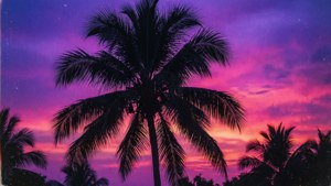 Palm Tree Neon Sunset