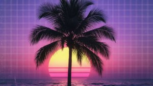 Palm Tree Sunset Grid