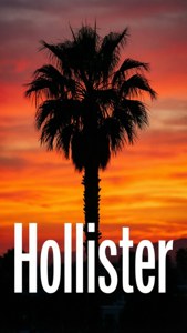 Palm Tree Sunset Logo