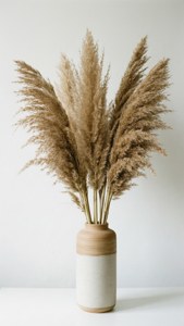 Pampas Grass Minimal