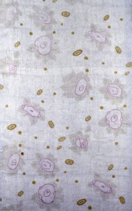 Panel (Dress or Furnishing Fabric)
