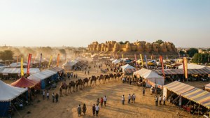Panoramic Festival Grounds