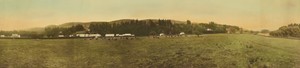 [Panoramic view of cows at pasture]