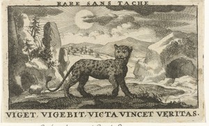 Panter in een landschap