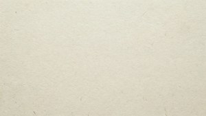 Paper Texture