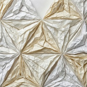 Paper Texture Obtuse