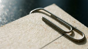 Paperclip Detail Macro
