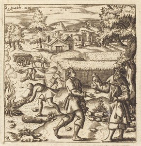Parable of Weeds in the Wheat