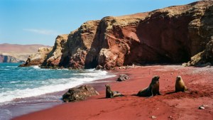 Paracas Red Beach