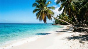 Paradise Beach