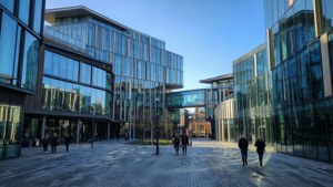 Paradise Birmingham Modern