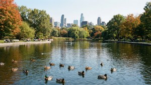 Parc La Fontaine City Escape