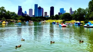 Park and Skyline