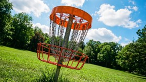 Park Basket Bright